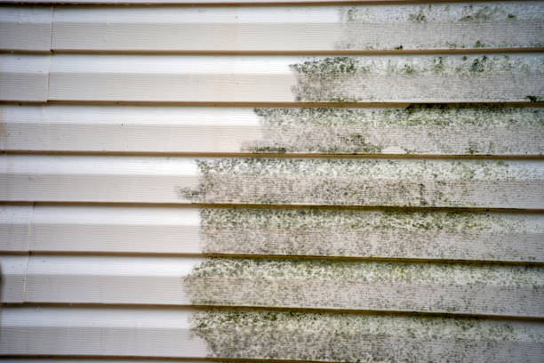Best Moving and Downsizing Cleanouts  in Tangent, OR